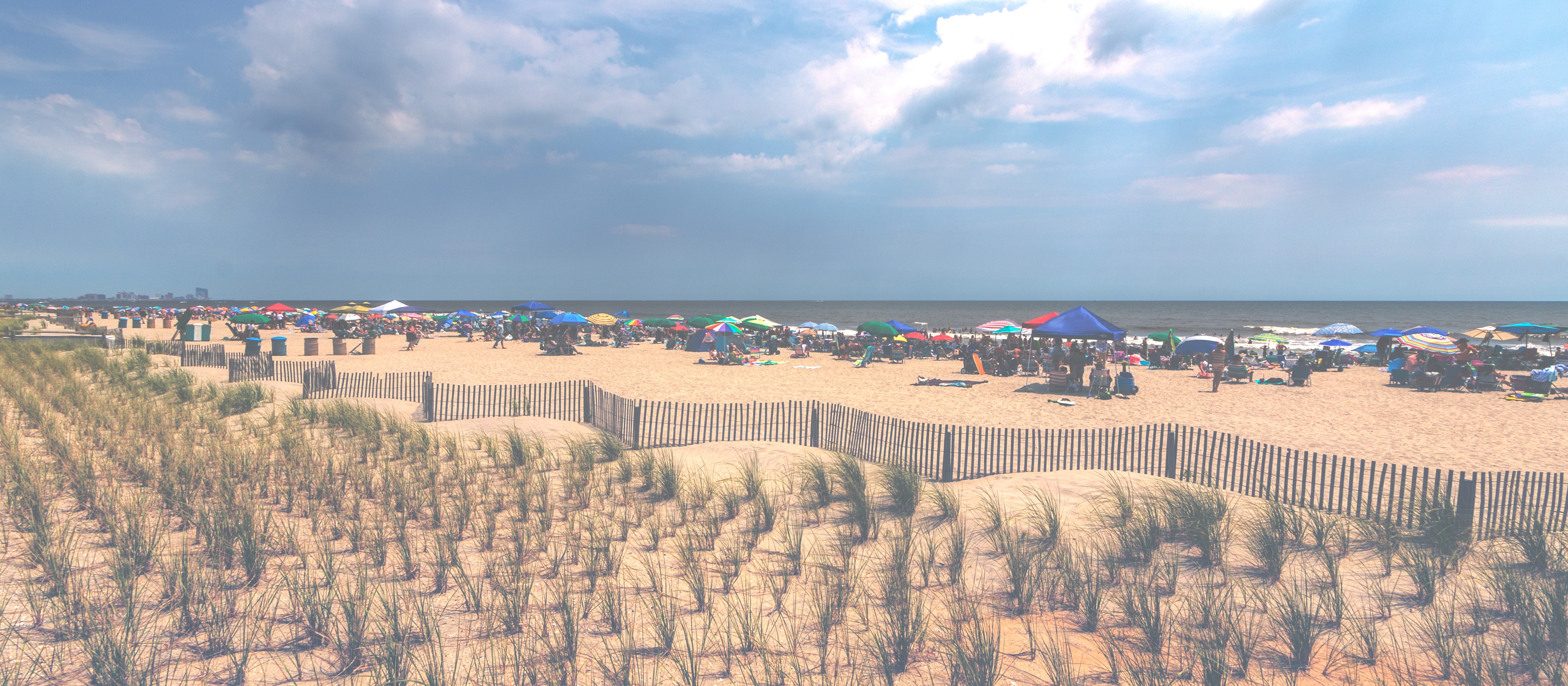 Dune grass and fence on the beach in Ocean City, Maryland. Plenty of patrons on the beach near the water with umbrellas and chairs.